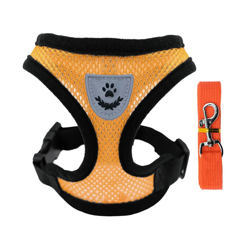 Breathable Mesh Pet Harness & Leash Set - No-Choke Vest for Cats & Small Dogs