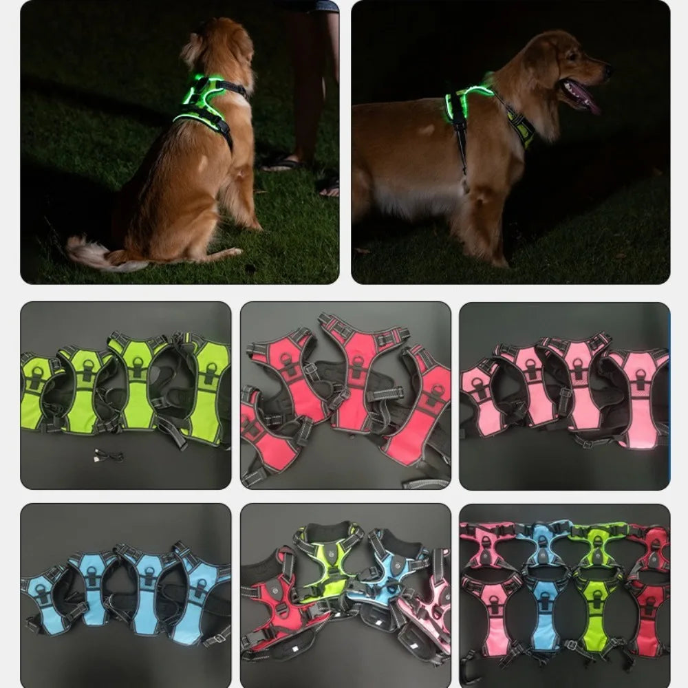 LED Glow Dog Harness - Adjustable Safety Vest for Night Walks