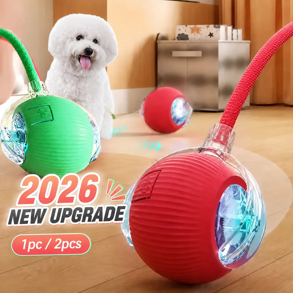 Automatic Rolling Dog Ball - Motion-Activated Interactive Toy