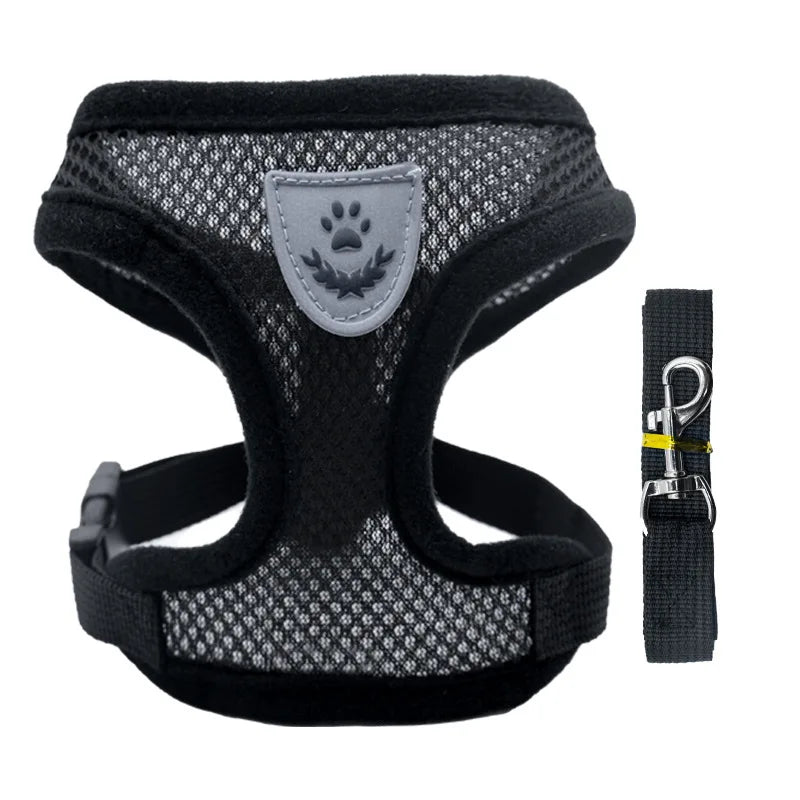 Breathable Mesh Pet Harness & Leash Set - No-Choke Vest for Cats & Small Dogs