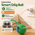 Automatic Rolling Dog Ball - Motion-Activated Interactive Toy