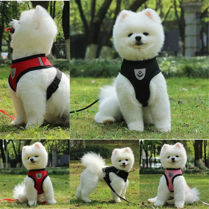 Breathable Mesh Pet Harness & Leash Set - No-Choke Vest for Cats & Small Dogs