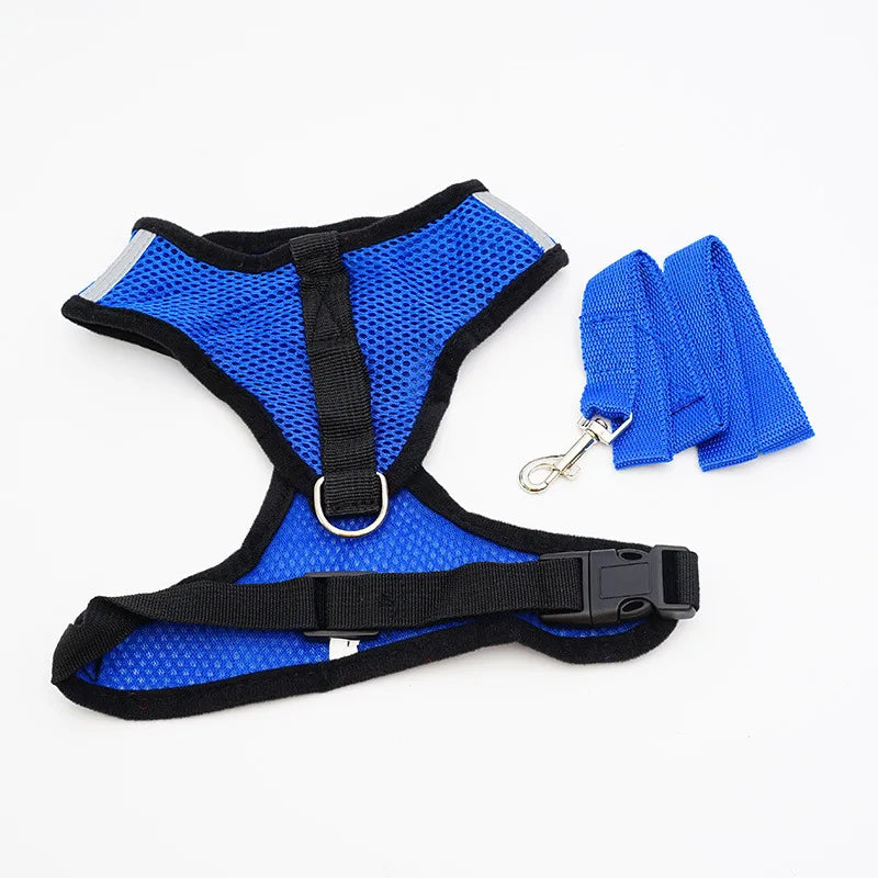 Breathable Mesh Pet Harness & Leash Set - No-Choke Vest for Cats & Small Dogs