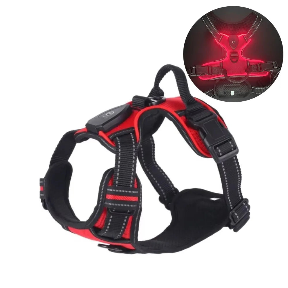 LED Glow Dog Harness - Adjustable Safety Vest for Night Walks