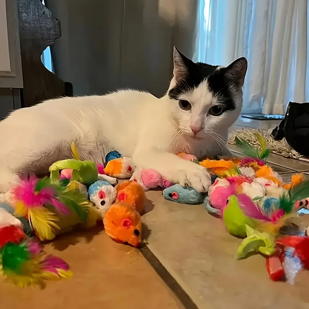 Cat Toy Variety Pack - Wands, Balls, Mice & Feathers (Multi-Piece Set)