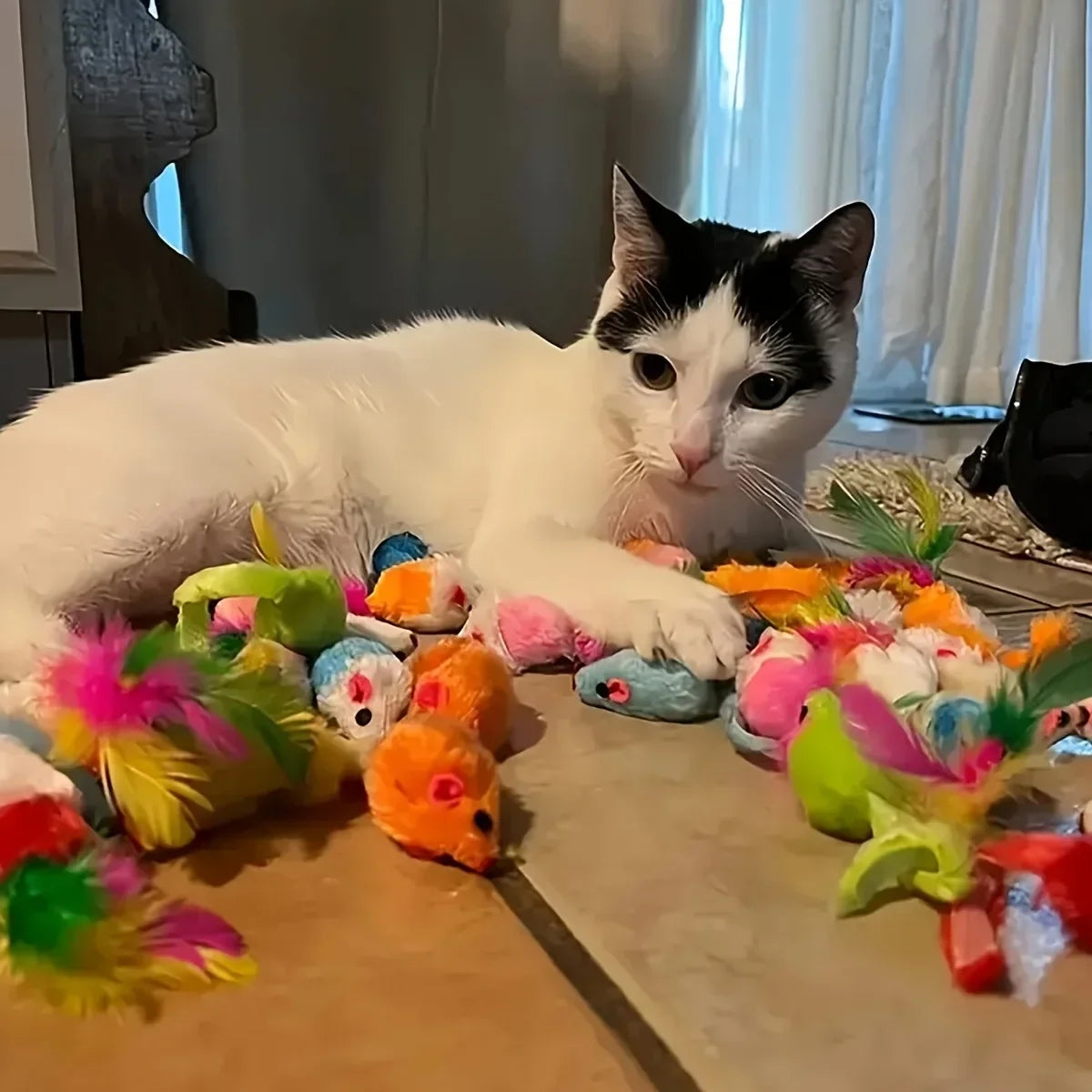 Cat Toy Variety Pack - Wands, Balls, Mice & Feathers (Multi-Piece Set)