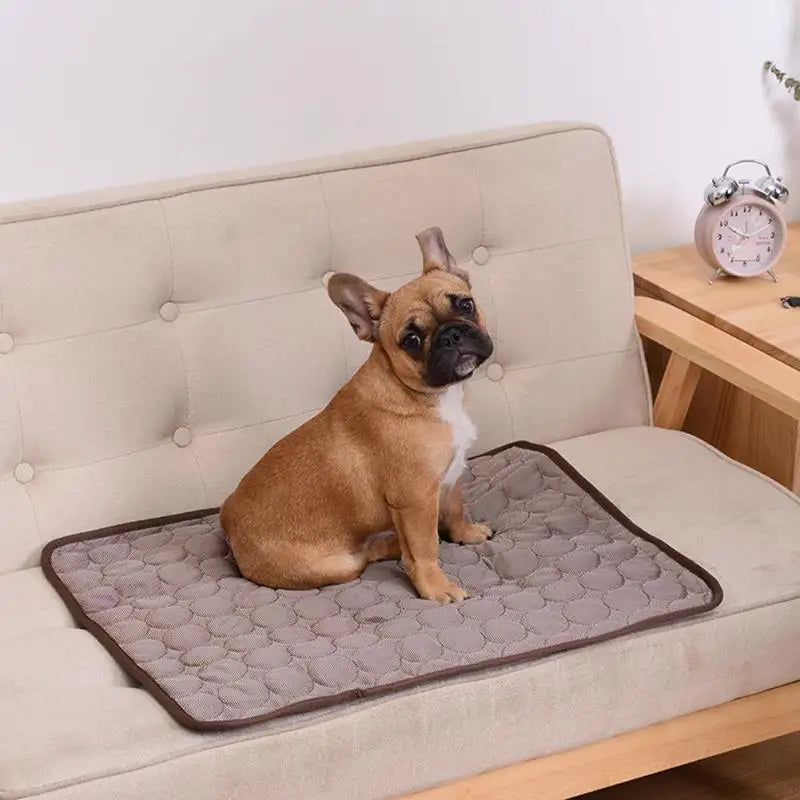 Pet Cooling Mat - Pressure-Activated Pad for Dogs & Cats