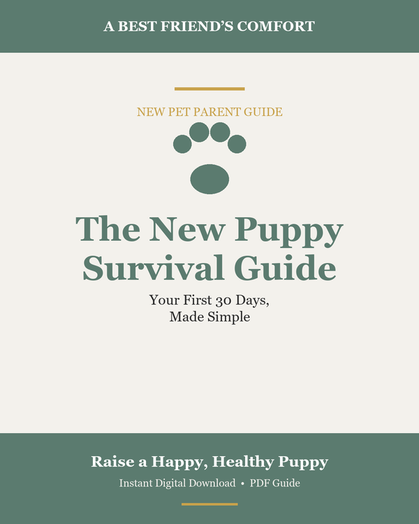 Ebooks & Guides