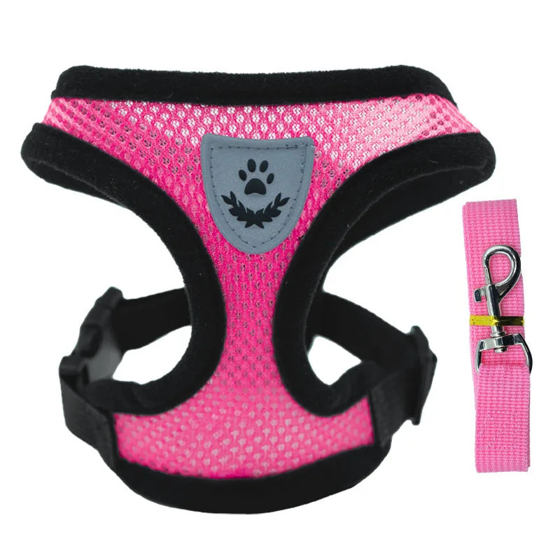 Breathable Mesh Pet Harness & Leash Set - No-Choke Vest for Cats & Small Dogs