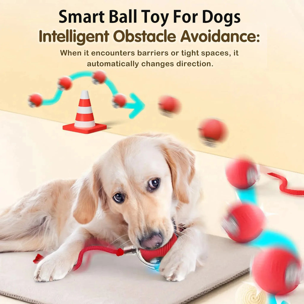 Automatic Rolling Dog Ball - Motion-Activated Interactive Toy