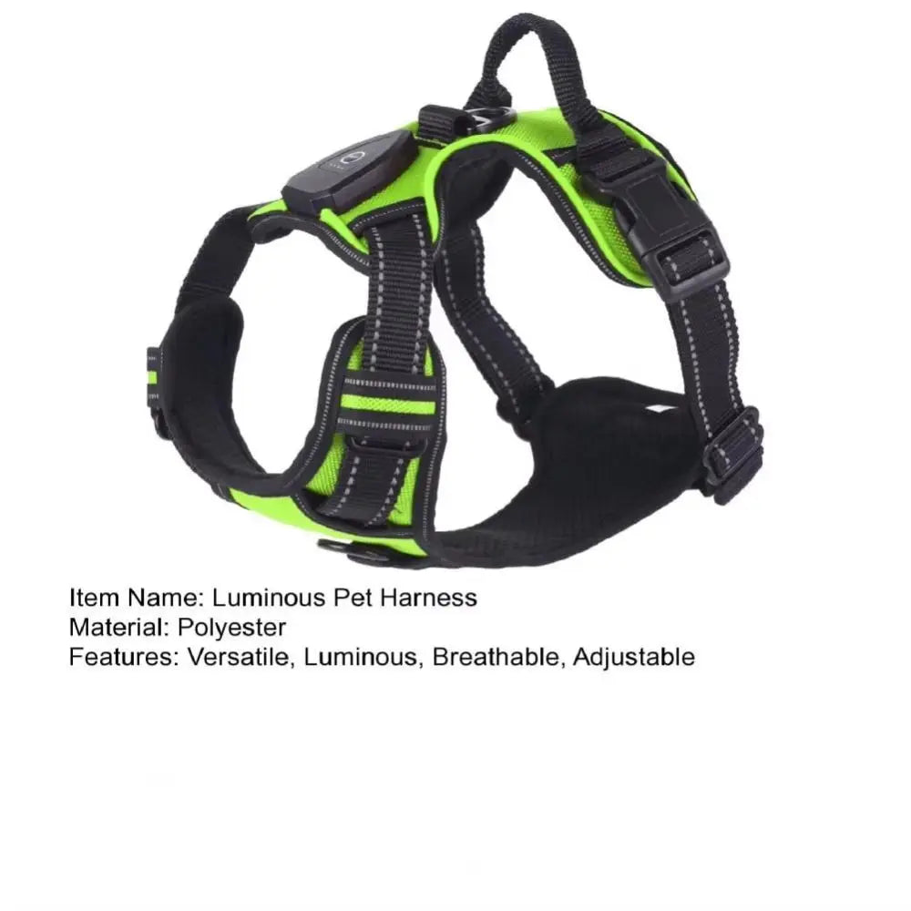 LED Glow Dog Harness - Adjustable Safety Vest for Night Walks