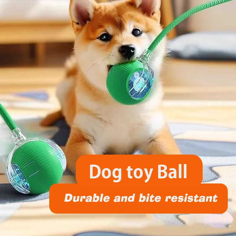 Automatic Rolling Dog Ball - Motion-Activated Interactive Toy