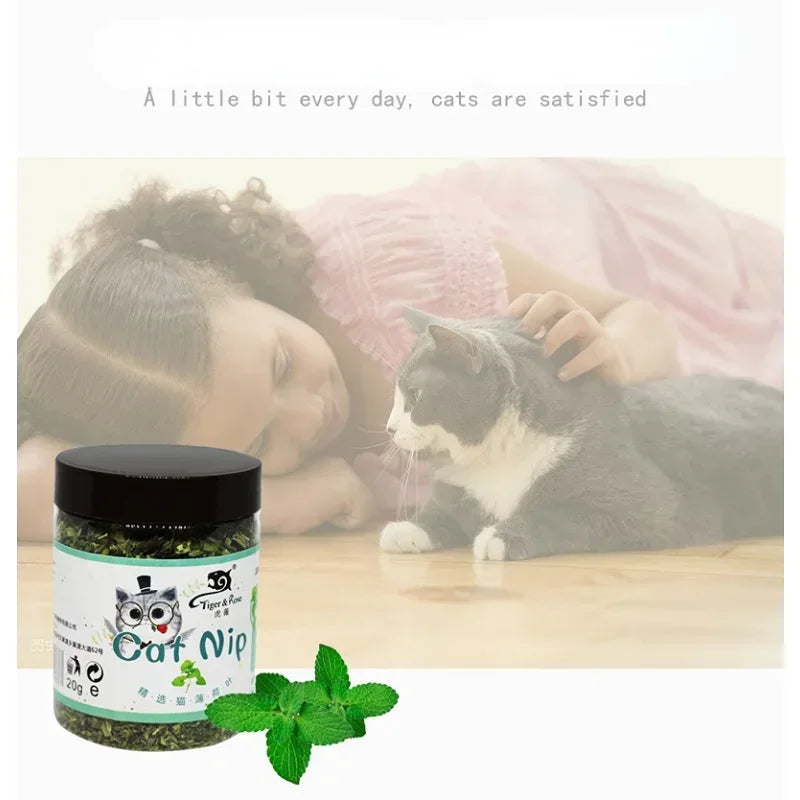 Organic Catnip Grass - 100% Natural Cat Grass Growing Kit
