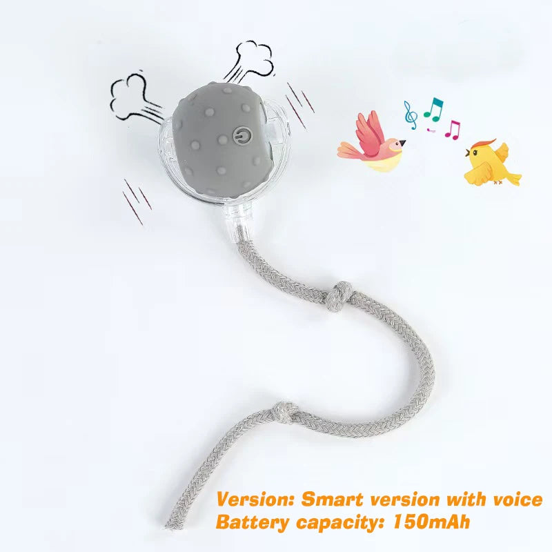 Automatic Rolling Dog Ball - Motion-Activated Interactive Toy