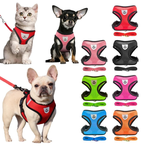 Breathable Mesh Pet Harness & Leash Set - No-Choke Vest for Cats & Small Dogs