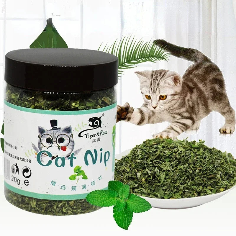 Organic Catnip Grass - 100% Natural Cat Grass Growing Kit