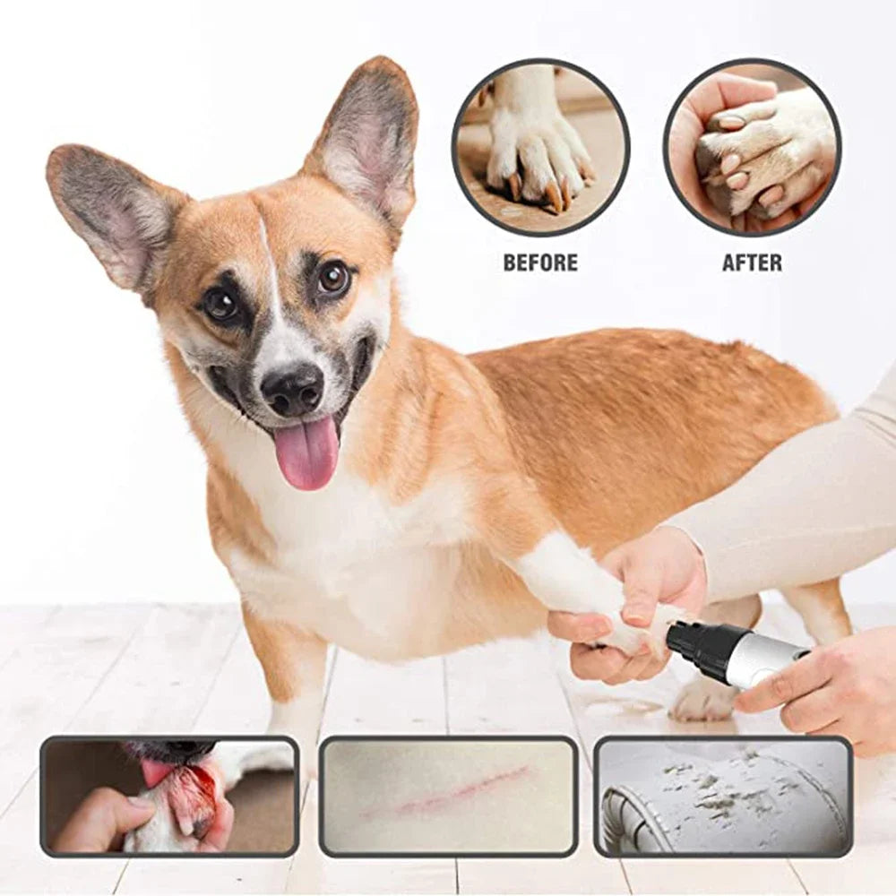 Electric Pet Nail Grinder - Quiet Rechargeable Trimmer for Dogs & Cats