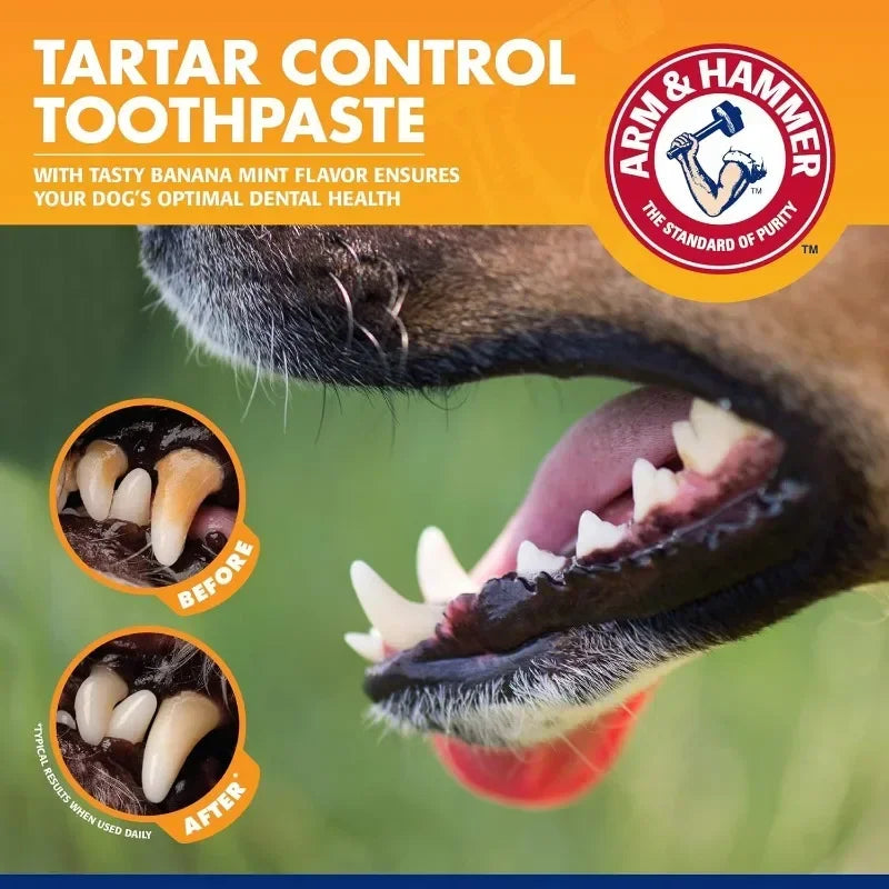 Dog Dental & Gum Care Kit - Complete Pet Teeth Cleaning Tools Set