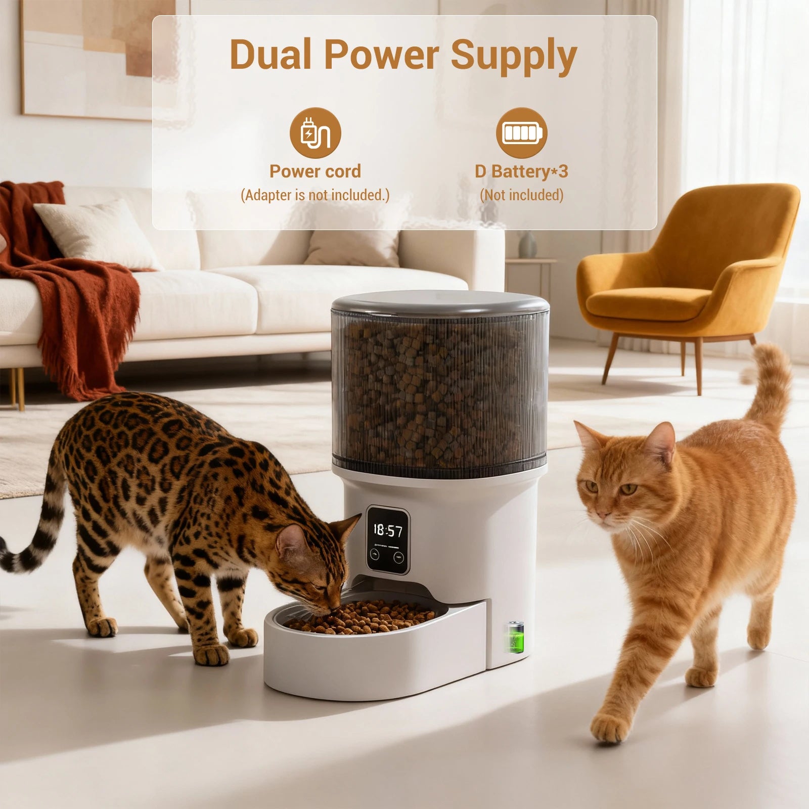 Programmable 4L Automatic Pet Feeder - Timed Meal Dispenser for Cats & Dogs