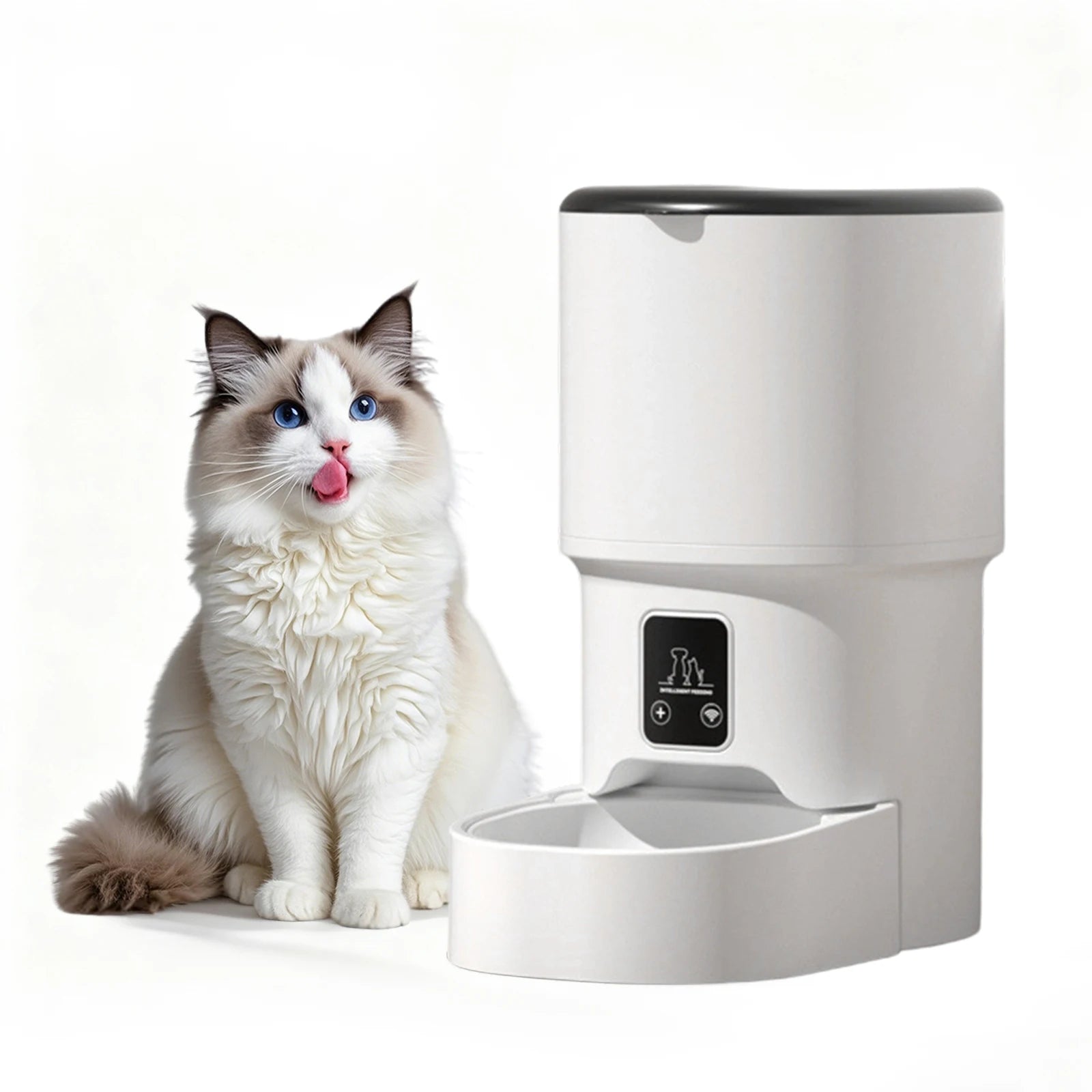 Programmable 4L Automatic Pet Feeder - Timed Meal Dispenser for Cats & Dogs