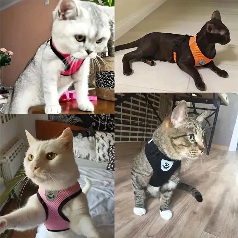 Breathable Mesh Pet Harness & Leash Set - No-Choke Vest for Cats & Small Dogs