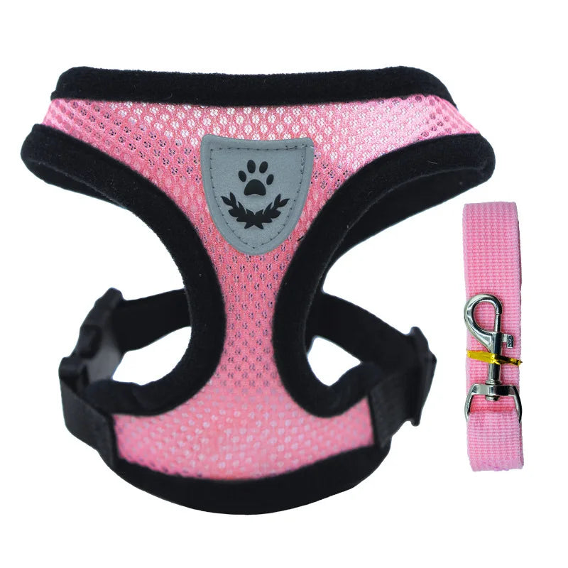 Breathable Mesh Pet Harness & Leash Set - No-Choke Vest for Cats & Small Dogs