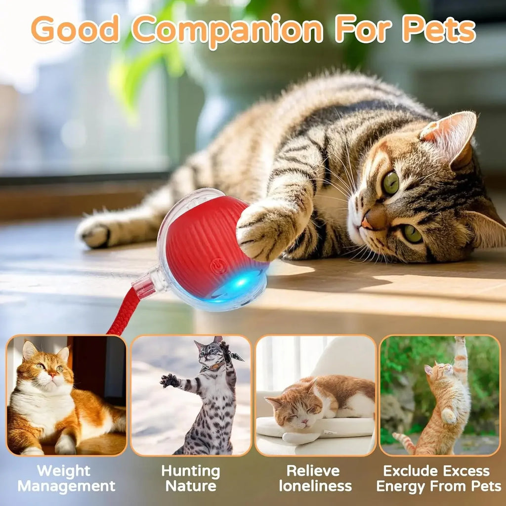 Automatic Rolling Cat Ball - Smart Self-Moving Interactive Toy