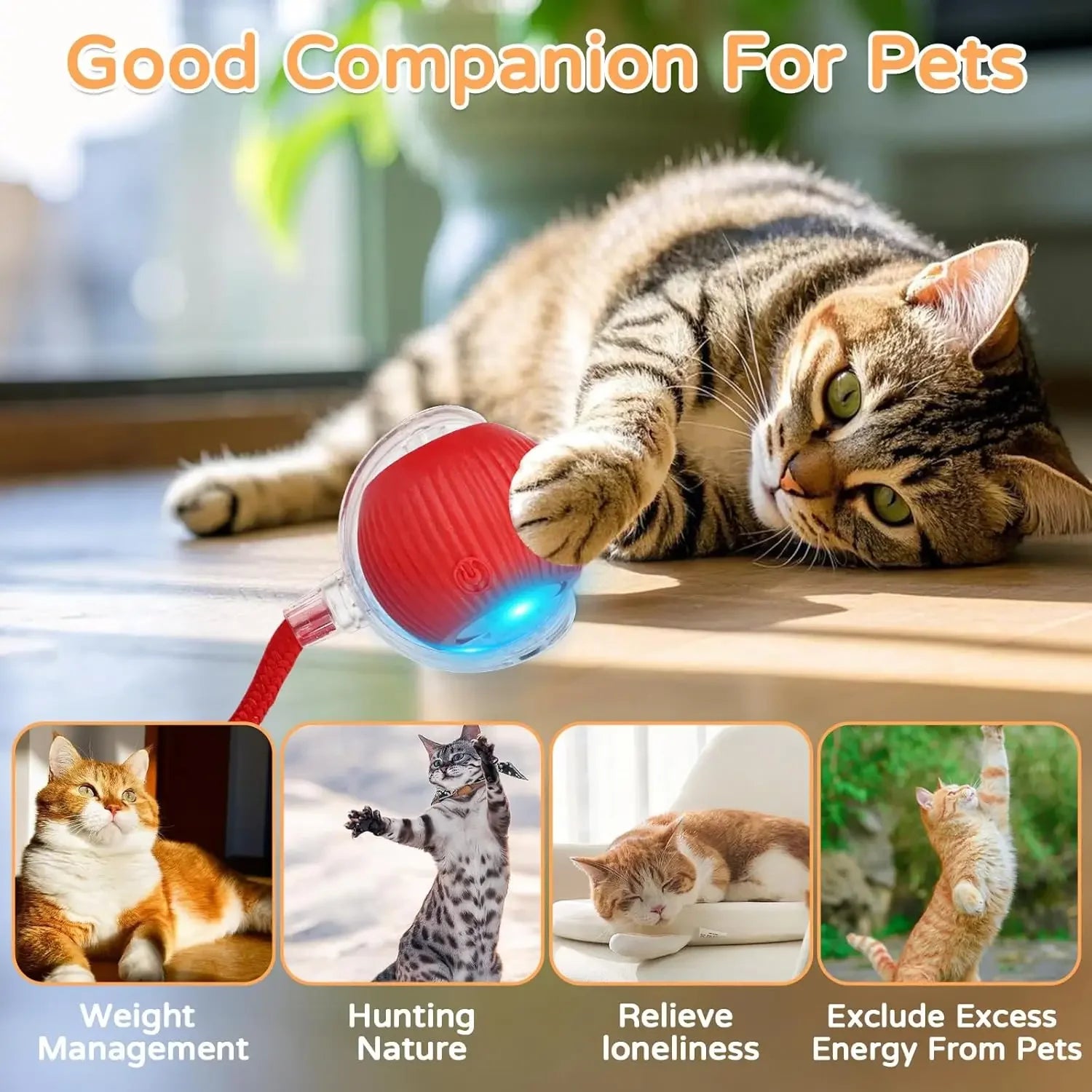 Automatic Rolling Cat Ball - Smart Self-Moving Interactive Toy