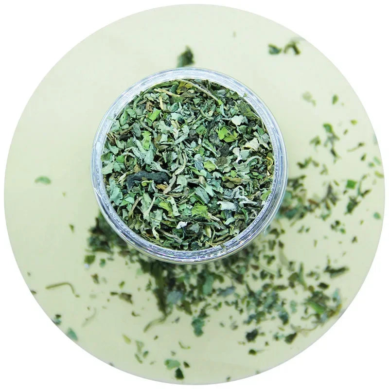 Organic Catnip Grass - 100% Natural Cat Grass Growing Kit