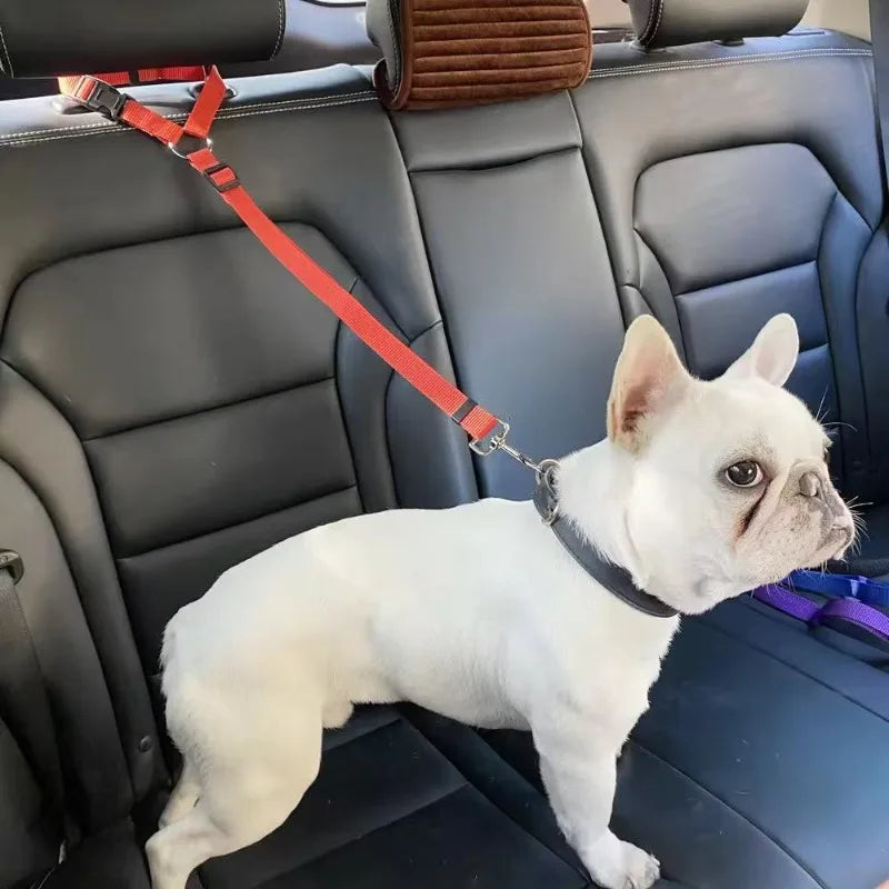 Adjustable Pet Car Seat Belt - Safety Tether for Dogs & Cats