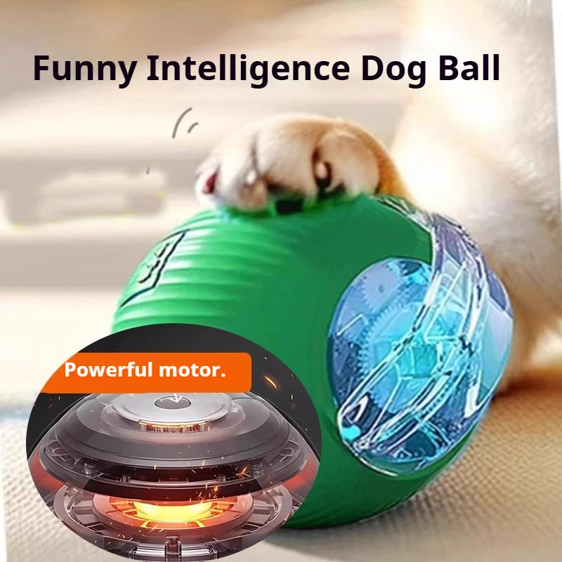 Automatic Rolling Dog Ball - Motion-Activated Interactive Toy