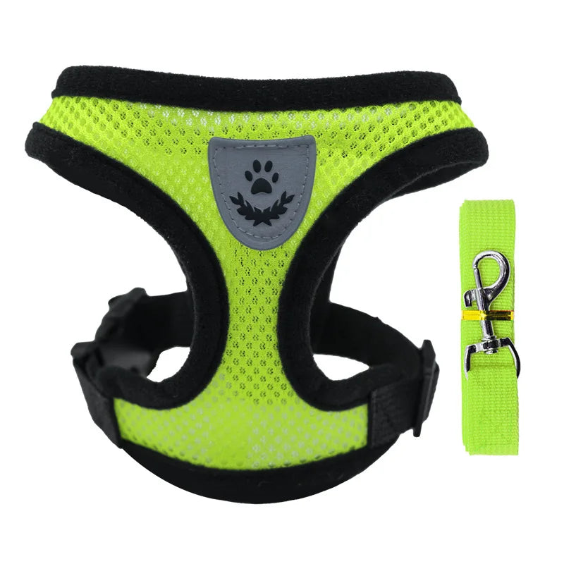 Breathable Mesh Pet Harness & Leash Set - No-Choke Vest for Cats & Small Dogs