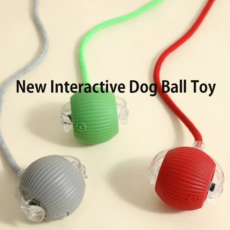 Automatic Rolling Dog Ball - Motion-Activated Interactive Toy