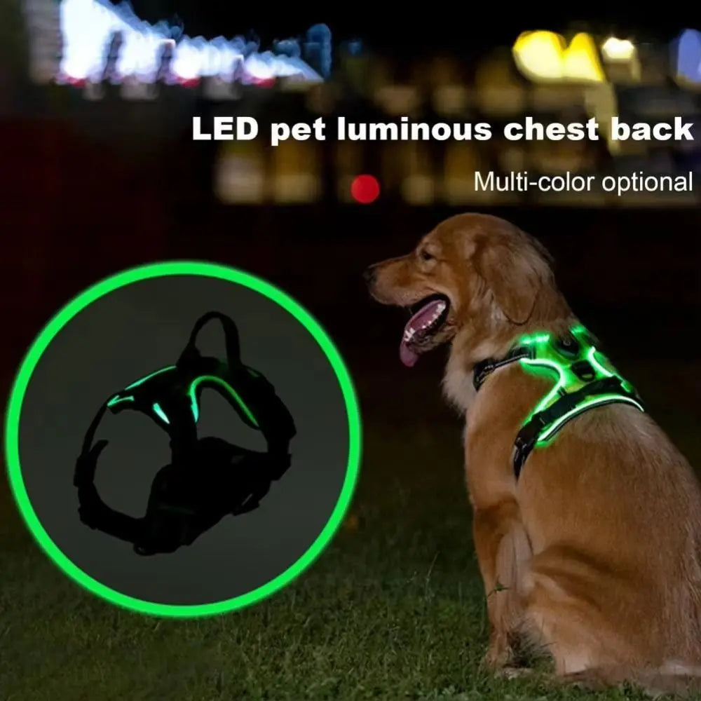 LED Glow Dog Harness - Adjustable Safety Vest for Night Walks