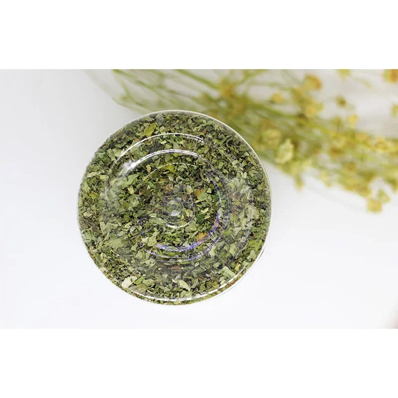 Organic Catnip Grass - 100% Natural Cat Grass Growing Kit