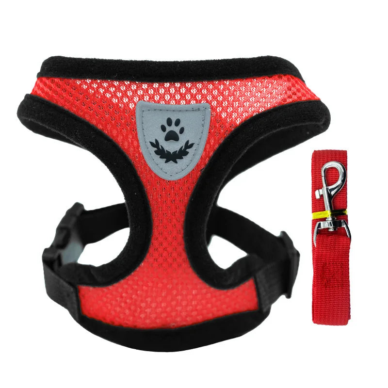 Breathable Mesh Pet Harness & Leash Set - No-Choke Vest for Cats & Small Dogs