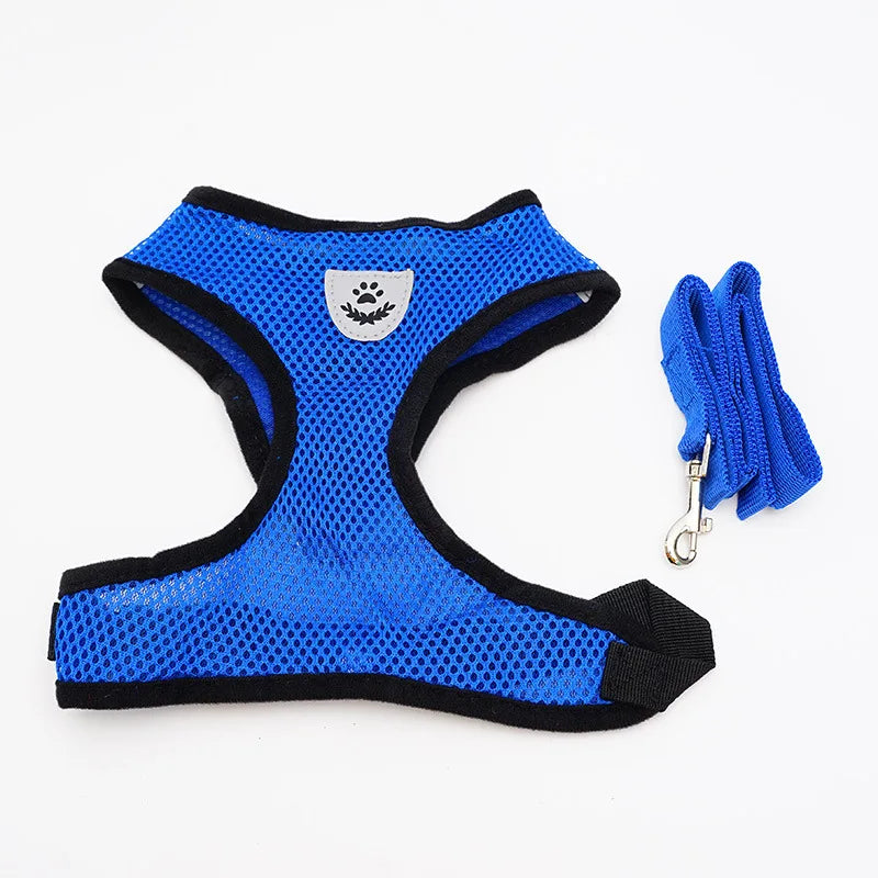 Breathable Mesh Pet Harness & Leash Set - No-Choke Vest for Cats & Small Dogs