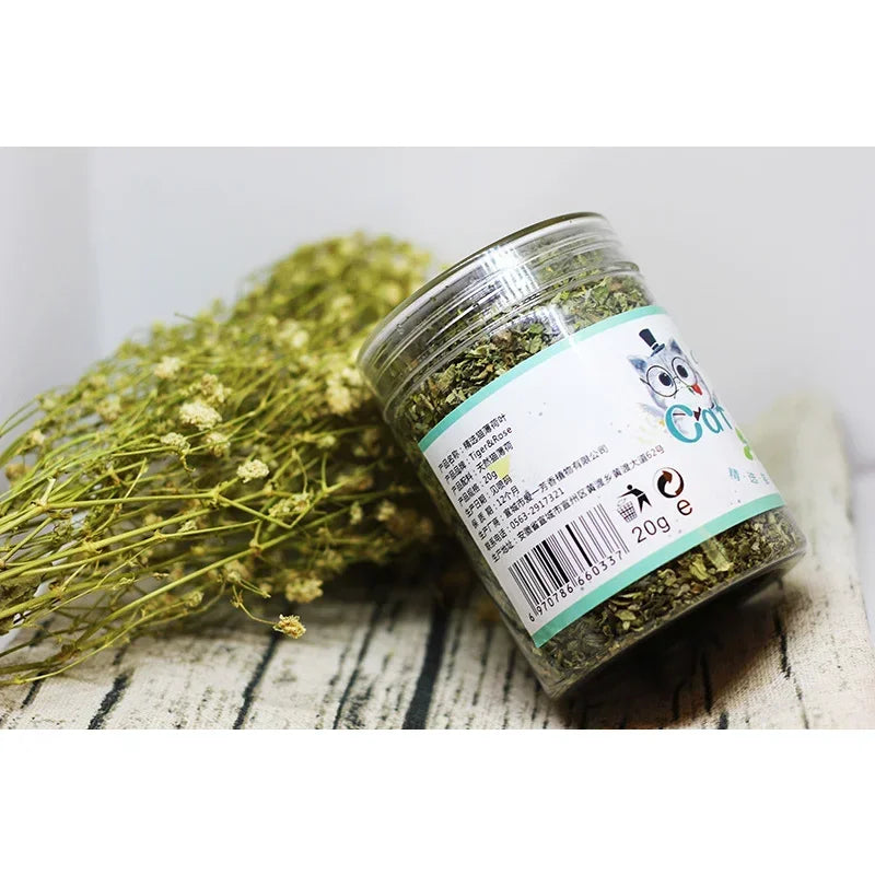 Organic Catnip Grass - 100% Natural Cat Grass Growing Kit